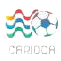 Brazilian Campeonato Carioca C