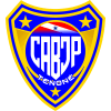 Campeonato Paraense de Futebol Feminino