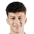 Ali Mahmoud