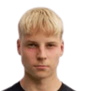 otto minkkinen
