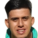 David Villa Mazo