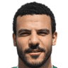 شكري نجيب