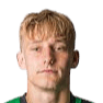 Dominik Vott