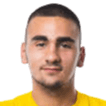 Srdjan Nedic