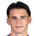 Armin Karic