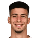Nemanja Vidojevic