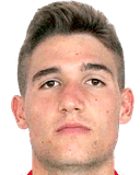 Michele voltan