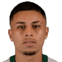 Felipe Guimarães da Silva