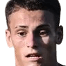 Andrea orlandi