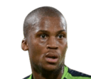 Tshepo Gumede