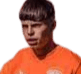 Tomas roco