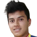 Jawer Fabián Guisamano Camacho
