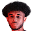 رومال بالمر
