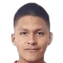 D. Saavedra