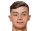 Fred bozicevic