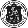 Blockchain Sports Academy