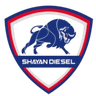 শায়ান ডিজেল