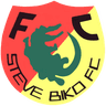 Steve Biko FC