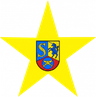 FC Yellow Star