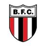 Botafogo-SP (Youth)