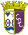 CD Gouveia U19