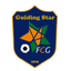Guiding Star(w)