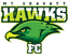 Mount Gravatt Hawks
