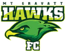 Mount Gravatt Hawks