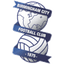 Birmingham U21