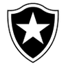 Botafogo RJ (Youth)