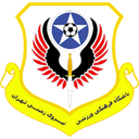 Niroye Zamini