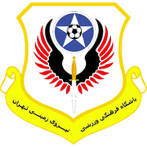 نيروي زاميني