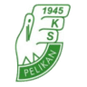Pelikan Lowicz