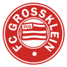 Grossklein
