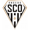 Angers II
