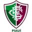 Fluminense PI (Youth)