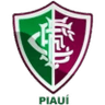Fluminense PI (Youth)