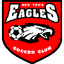 New Town Eagles