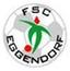 FSC Eggendorf Hartberg II