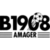 بي ١٩٠٨