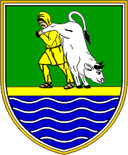 حايدينا
