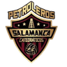 Club Petroleros de Salamanca