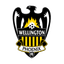 Wellington Phoenix Reserve