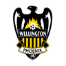Wellington Phoenix Reserve