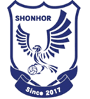 अल्सा लीग टीम