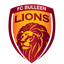 FC Bulleen Lions