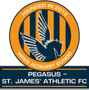Pegasus