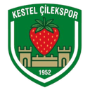 Kestel Çilekspor