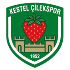 Kestel Çilekspor
