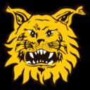 Ilves II (w)
